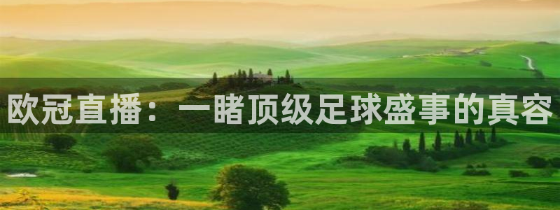 极速体育直播吧nba：欧冠直播：一睹顶级足球盛事的真容