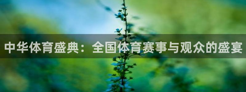 极速体育在线直播nba：中华体育盛典：全国体育赛事与观众的盛宴
