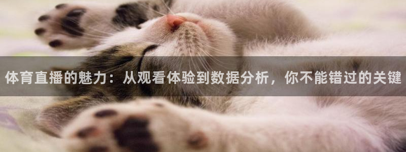 极速体育直播吧体育直播nba：体育直播的魅力：从观看体验到数据分析，你不能错过的关键